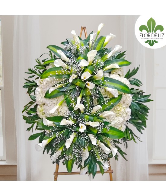 CORONA HACIA EL CIELO